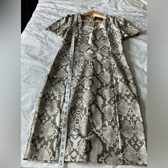 ALESSADRA BELLE Snakeskin Print Sheath Dress Size 8 NWT - Picture 9 of 11